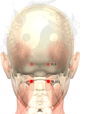 bl10-tianzhu-acupuncture-point.png